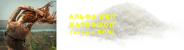 стафф Осинники