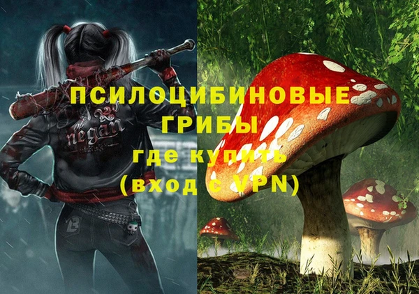 спиды Аркадак